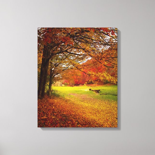 Falling Autumn Leaves on Walking Path Canvas Print (Front)