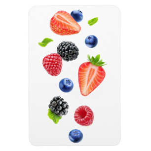 Falling berries magnet