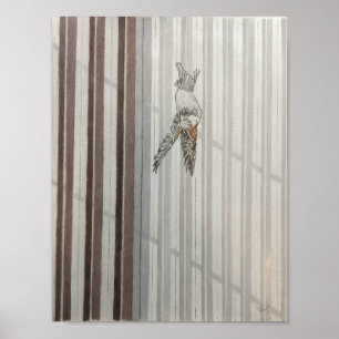 Falling Bird Poster
