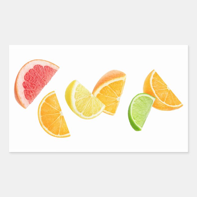 Falling citrus slices sticker (Front)