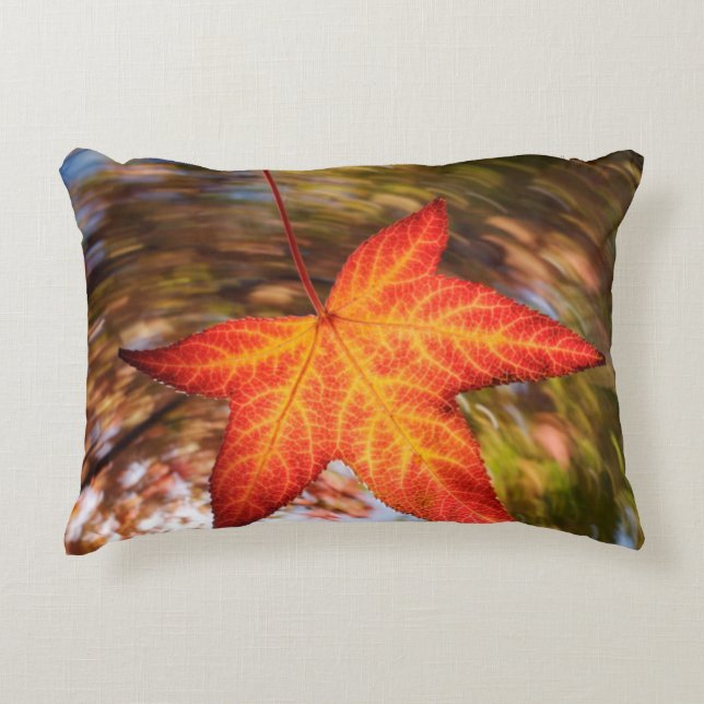 Falling Leaf from a tree in autumn Accent Pillow (Front)