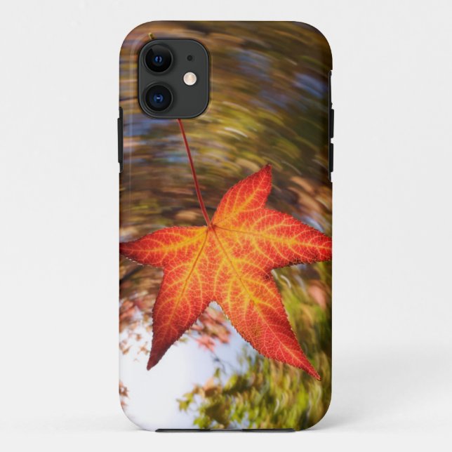 Falling Leaf from a tree in autumn Case-Mate iPhone Case (Back)