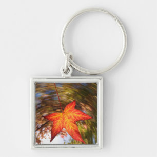 Falling Leaf from a tree in autumn Keychain