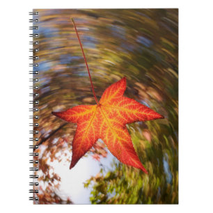 Falling Leaf from a tree in autumn Notebook