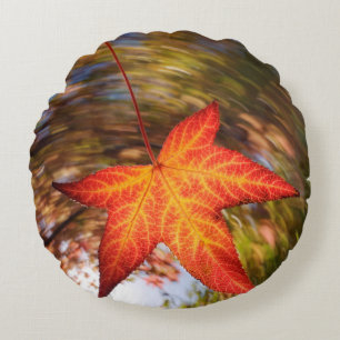Falling Leaf from a tree in autumn Round Pillow
