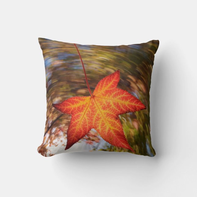 Falling Leaf from a tree in autumn Throw Pillow (Front)
