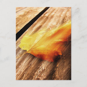 Falling Leave Postcard