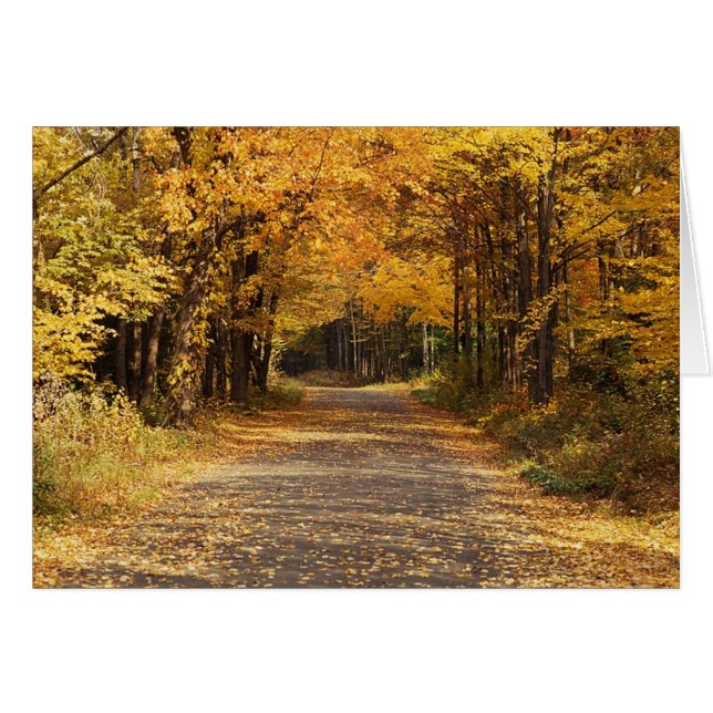 Falling Leaves (Front Horizontal)