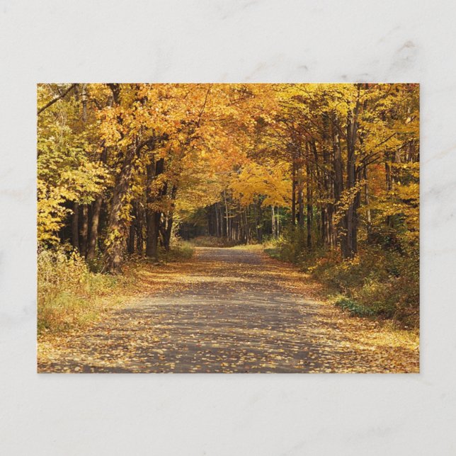 Falling Leaves | Autumn Home Gifts Postcard (Front)