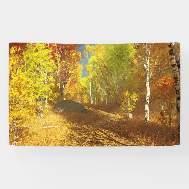 Falling Light Banner (Horizontal)