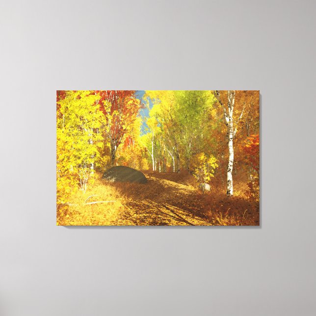 Falling Light Canvas Print (Front)