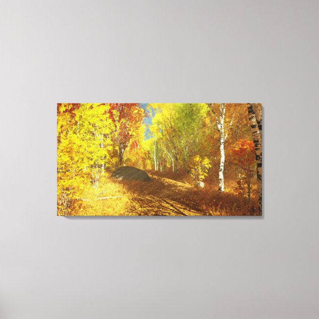 Falling Light Canvas Print (Front)