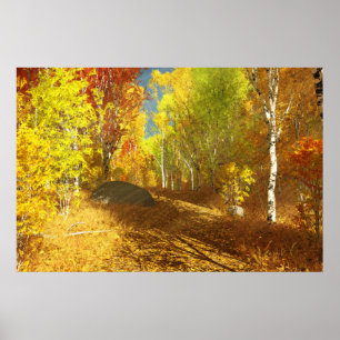 Falling Light Print