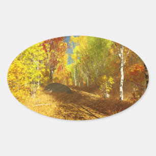Falling Light Stickers