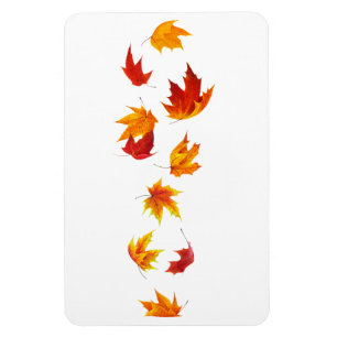 Falling maple leaves magnet