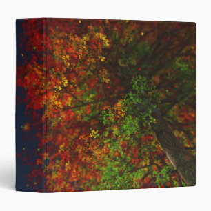 Falling Rainbow Binder