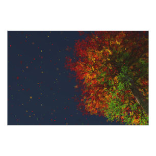 Falling Rainbow Photo Print