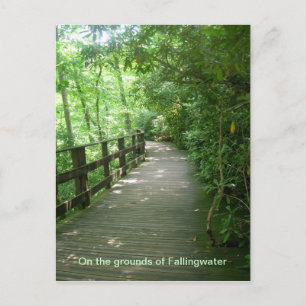 Fallingwater Postcard