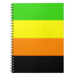 Fallln Aromantic Pride Flag Notebook