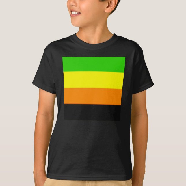 Fallln Aromantic Pride Flag T-Shirt (Front)