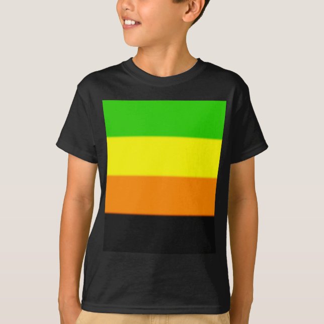 Fallln Aromantic Pride Flag T-Shirt (Front)