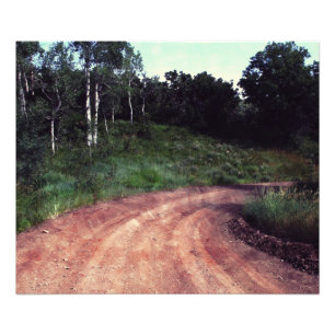 Falln A Curve In The Road Photo Print