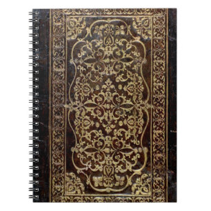Falln a doré le livre en cuir de tome