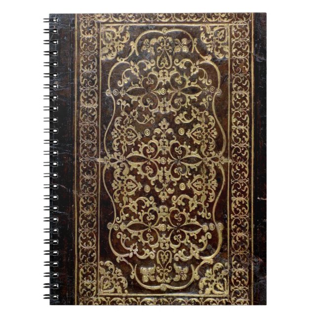 Falln a doré le livre en cuir de tome (Devant)