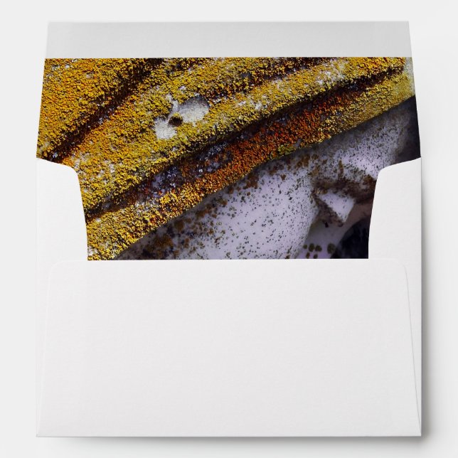 Falln A Quiet Interlude Envelope (Back (Bottom))