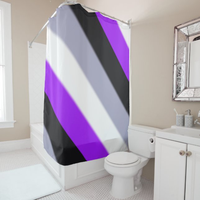 Falln Asexual Pride Flag (In Situ)