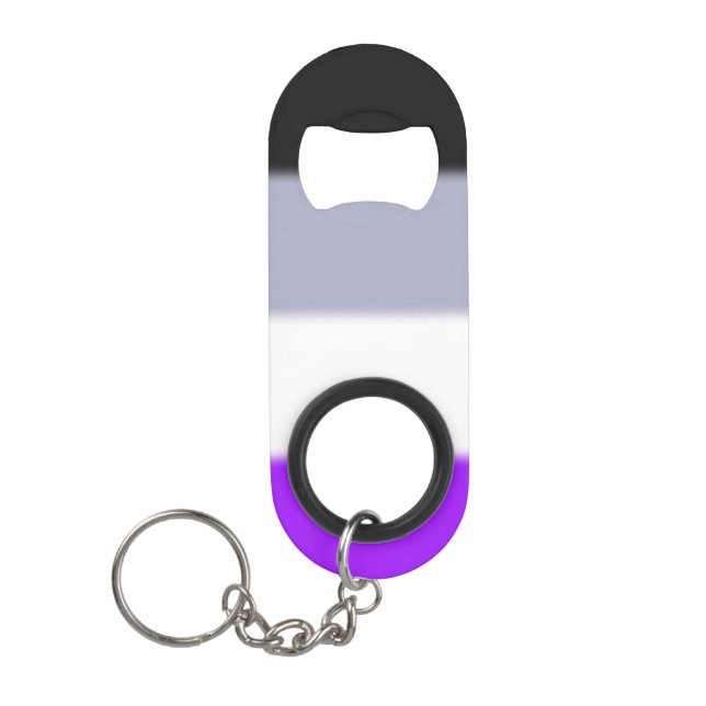 Falln Asexual Pride Flag Keychain Bottle Opener (Front)