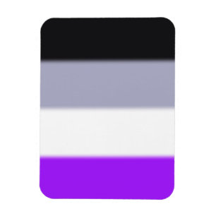 Falln Asexual Pride Flag Magnet