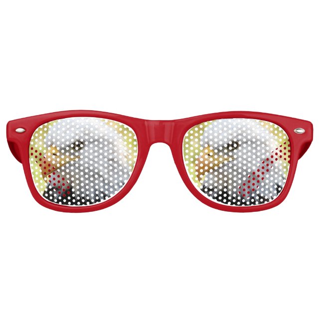 Falln Bald Eagle Liberty Retro Sunglasses (Front)