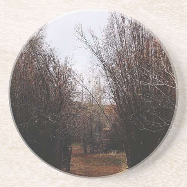 Falln Bannack Overgrowth Coaster (Front)