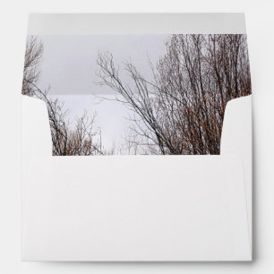 Falln Bannack Overgrowth Envelope