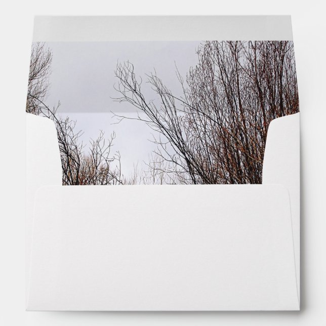 Falln Bannack Overgrowth Envelope (Back (Bottom))