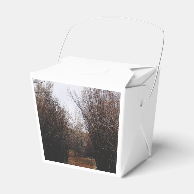 Falln Bannack Overgrowth Favor Box (Front Side)