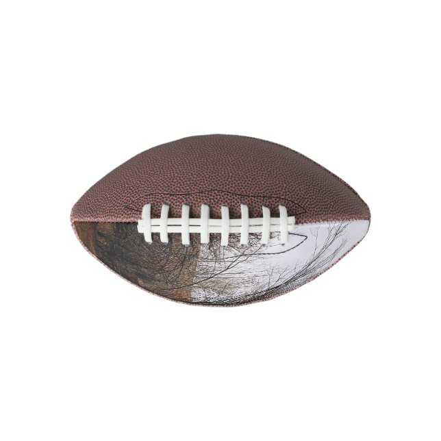 Falln Bannack Overgrowth Football (Front)