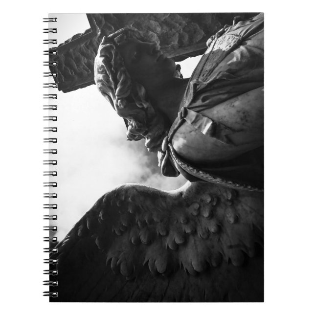 Falln Between Darkness and Light Notebook (Front)