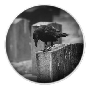 Falln Cemetery Crow Ceramic Knob