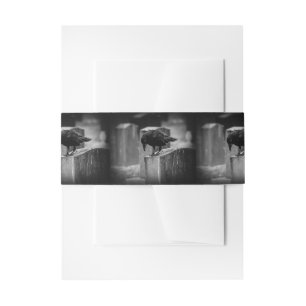 Falln Cemetery Crow Invitation Belly Band