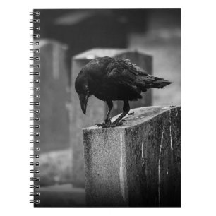Falln Cemetery Crow Notebook