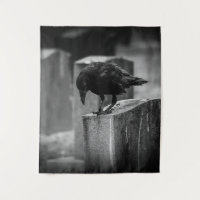 Falln Cemetery Crow