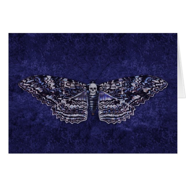 Falln Deathshead Moth (Front Horizontal)