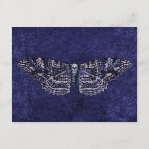 Falln Deathshead Moth Postcard