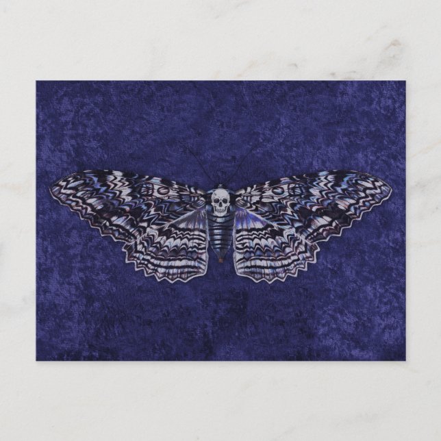 Falln Deathshead Moth Postcard (Front)