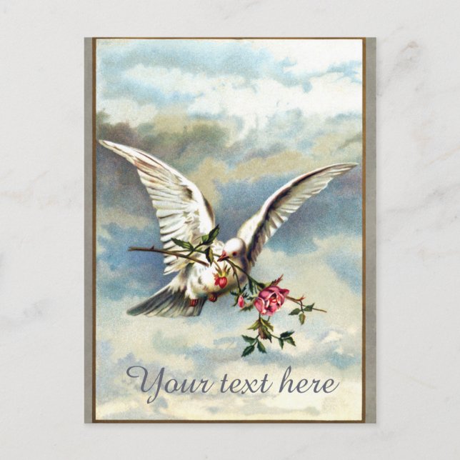 Falln Dove with Roses Postcard (Front)