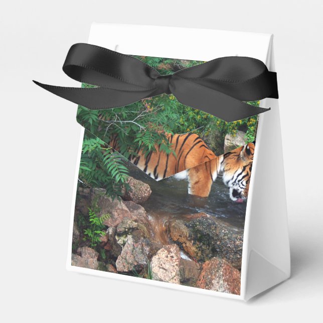 Falln Drinking Tiger Favor Box (Front Side)