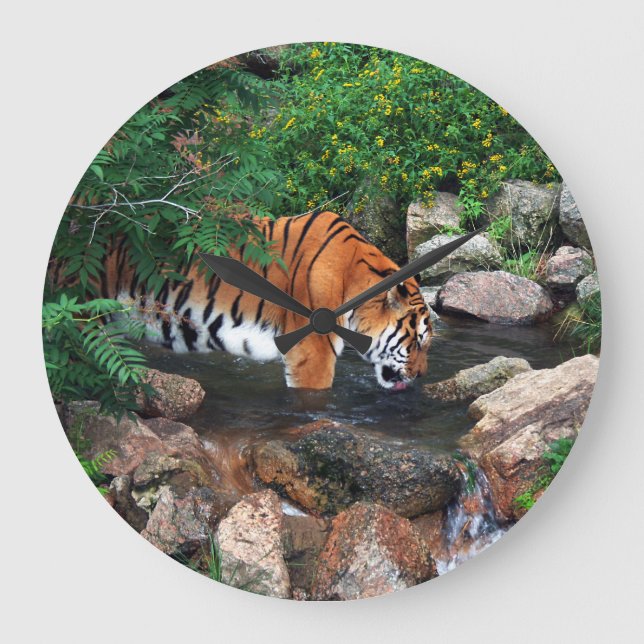 Falln Drinking Tiger Large Clock (Front)