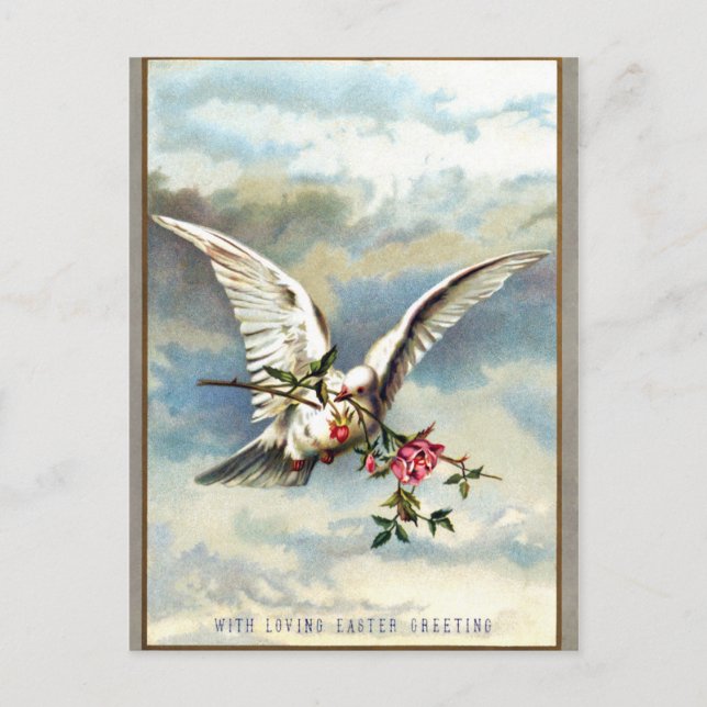 Falln Easter Dove with Roses Holiday Postcard (Front)